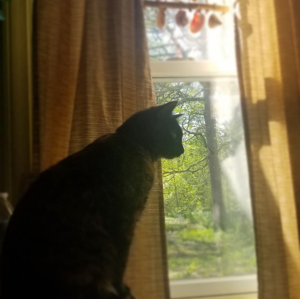 Meet your Posher, Michelle